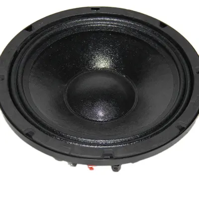 10 inch 300 w आरएमएस नव प्रो ऑडियो लाउडस्पीकरों subwoofer