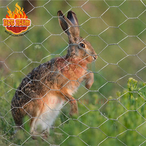 Prezzo di fabbrica 1/2 rete metallica esagonale zincata a rete metallica a doppia torsione,