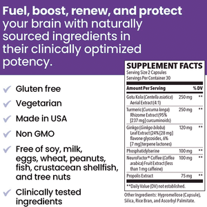 Super food NeuroQ Memory & Focus-Steigert die kognitive Leistung und gesunde Gehirn funktion 60 Kapseln Kräuter ergänzung - Product Image 4