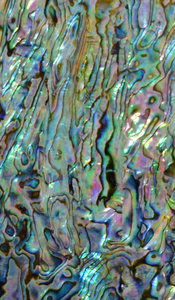 <strong>Paua</strong> Shell Wall Paper Flexible Laminated DB003 - Product Image 2