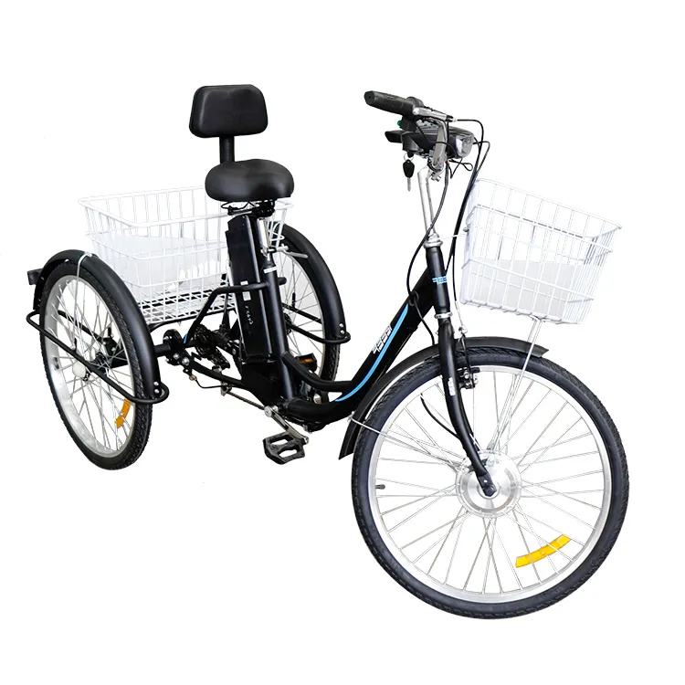Milg Goedkope Factory Custom Beach Bike Elektrische Gelegenheid 3 Wiel Trike Ce 500W Volwassen Driewieler Met Mand