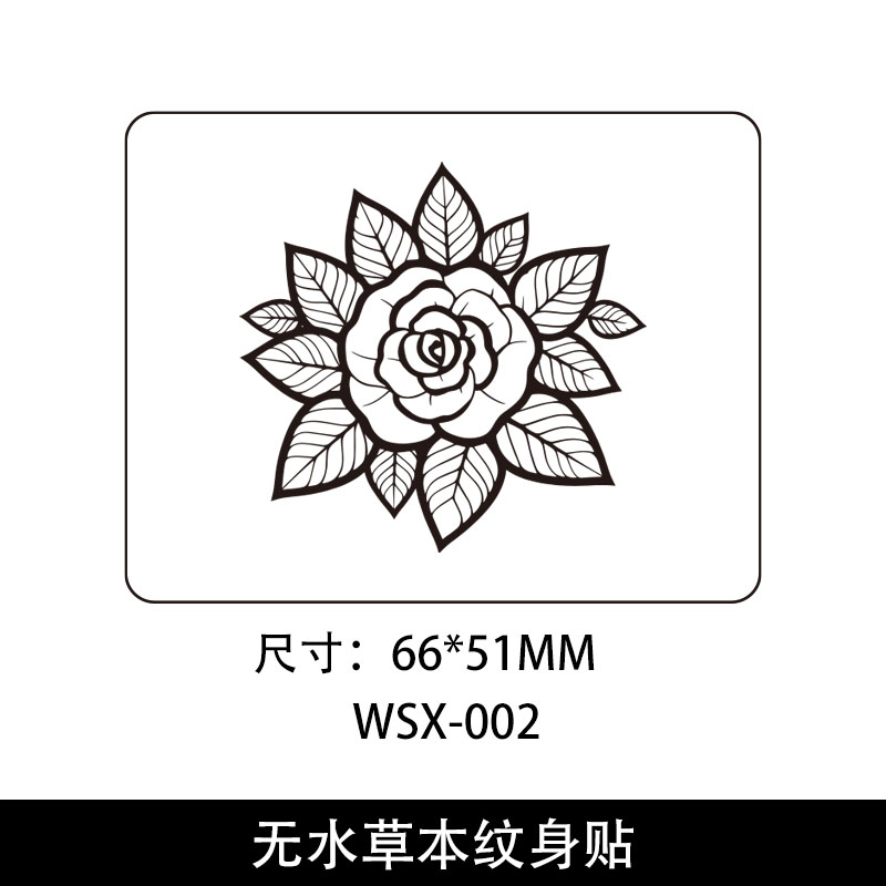 WS-002