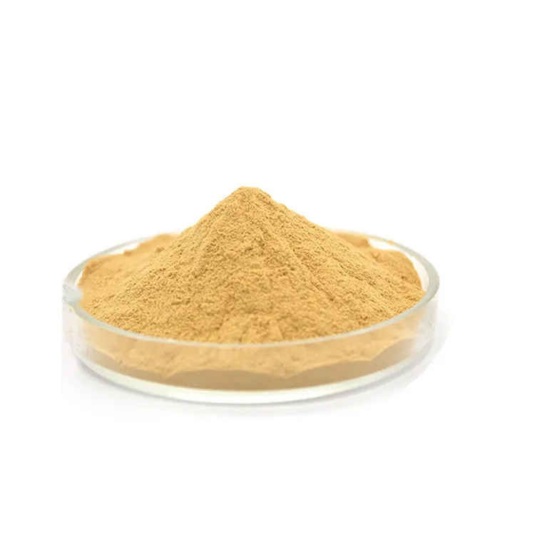 Supply pure Siberian Ginseng Extract acanthopanax senticosus extract Saponins B+E Powder