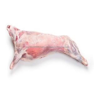 散装羊肉胎体冷冻羊肉胎体销售折扣