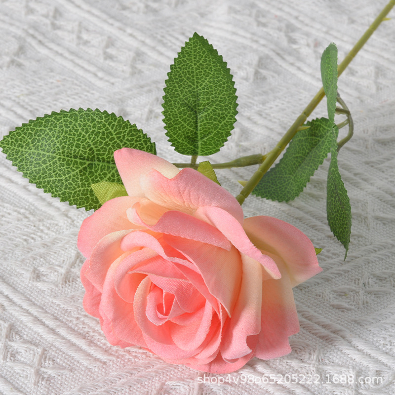Champagne Pink Silk cloth