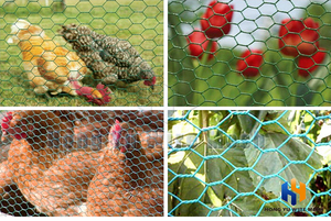 Fabrik direkt 6 Fuß hoch PVC beschichtet Galvanisiertes Eisen Geflügelnetz Huhn-Drahtnetz sechseckige Drahtnetzrolle für Hühner - Product Image 3