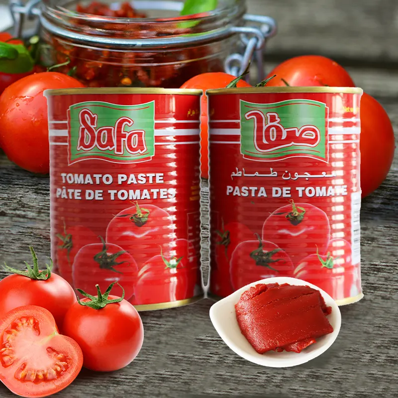 Sauce de tomate pâtes à la tomate 70g pâte de tomate en conserve