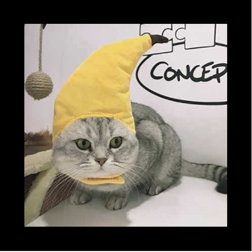 duck hat