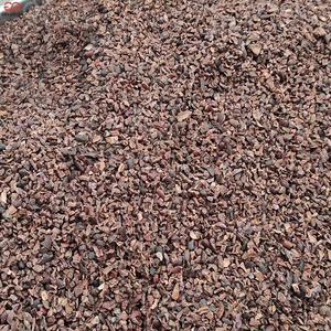 Máquina peladora de granos de cacao, alta calidad, 300 kg/h, para la producción de polvo de cacao - Product Image 5