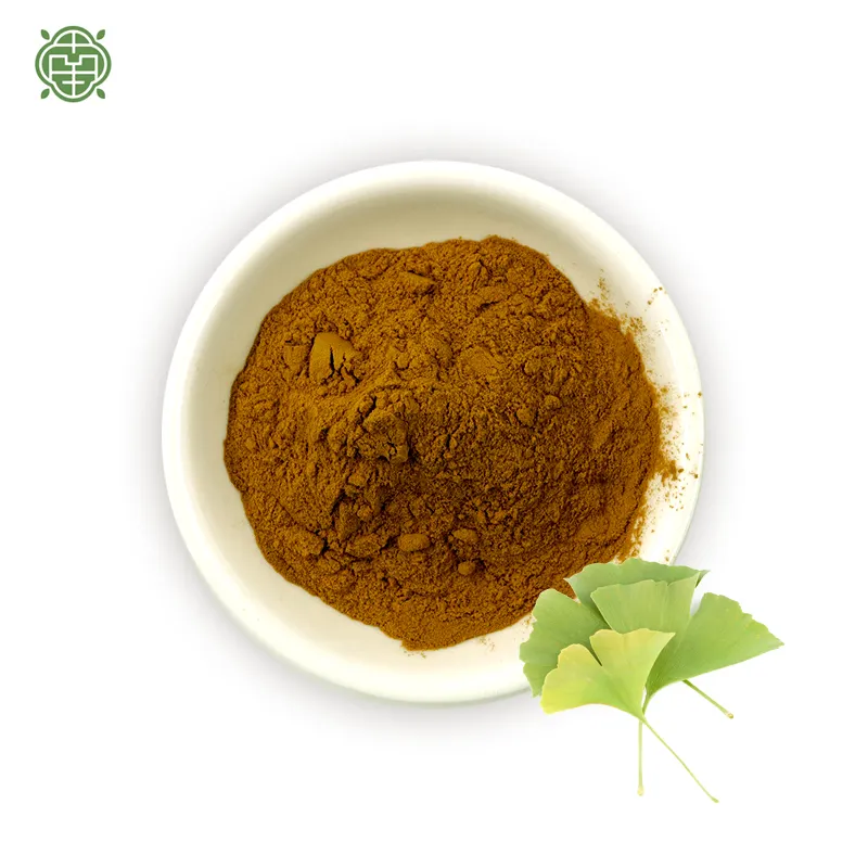 Nanqiao ekstrak daun Ginkgo Biloba Grade penjualan laris untuk Makanan Sehat