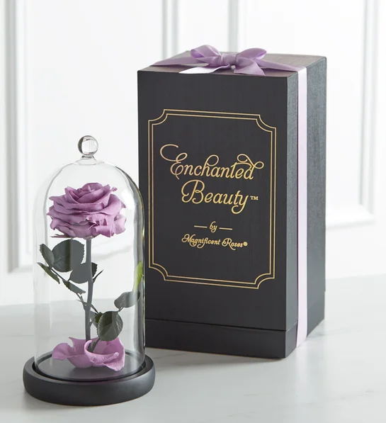 Rose violet
