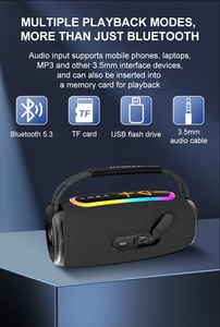 Nuevo diseño OEM Wild Mini 5,3 Sistema de audio grande Sonido Pequeño amplificador personalizado Altavoz inalámbrico Altavoz portátil Fábrica - Product Image 3