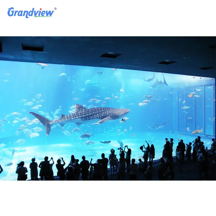 Large Round acrylic shark aquarium free fish tank