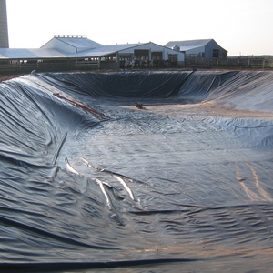 HDPE geomembranlar baraj havuzları için 1mm 1.5mm 2mm astar 45Mil arazi dolgu Geomembrana su geçirmez geomembran balık gölet gömlekleri için - Product Image 5