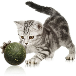 <strong>Safe</strong> Healthy Multifunctional Lollipop Molar Teeth Cleaning Compressed Cat Mint <strong>Catnip</strong> Ball Toys