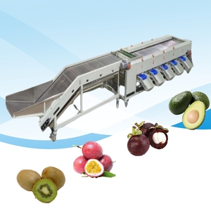<strong>High</strong> <strong>Efficiency</strong> Commercial Fruit Size Grading Sorting Machine Roller Type Fruit <strong>Classifier</strong> Machine - Product Image 4