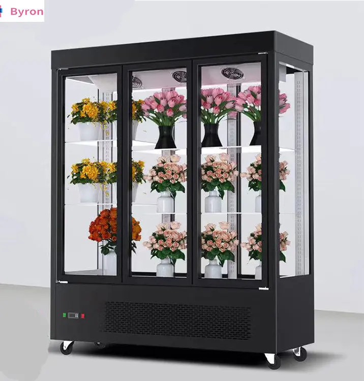 Refrigerador de flores refrigeradas, escaparate usado para flores frescas