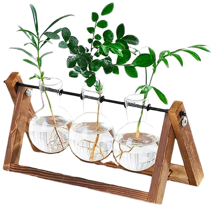 Vas kantor Pot tanaman kayu dengan berdiri berdiri tanaman dalam ruangan berdiri di atas meja