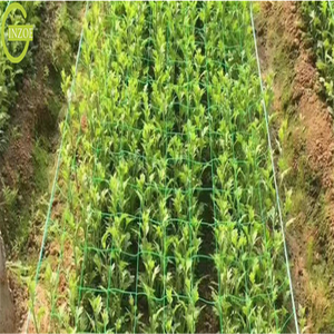 Günstige Polyester Garten Spalier Netz für Obst - Product Image 5