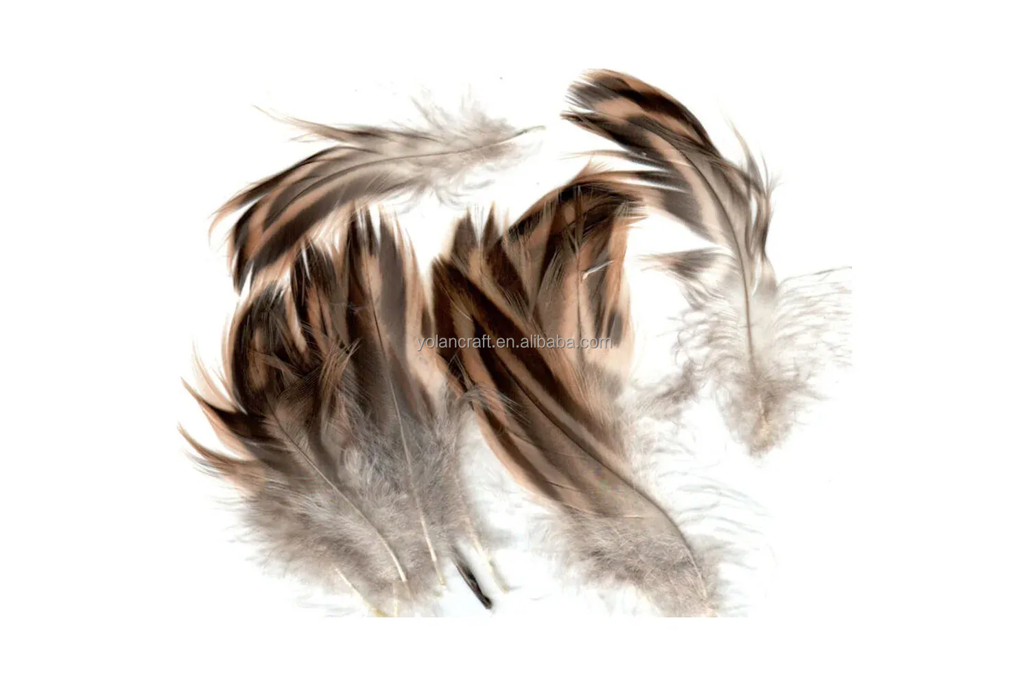 Plumas de flanco de gallina/6-10cm