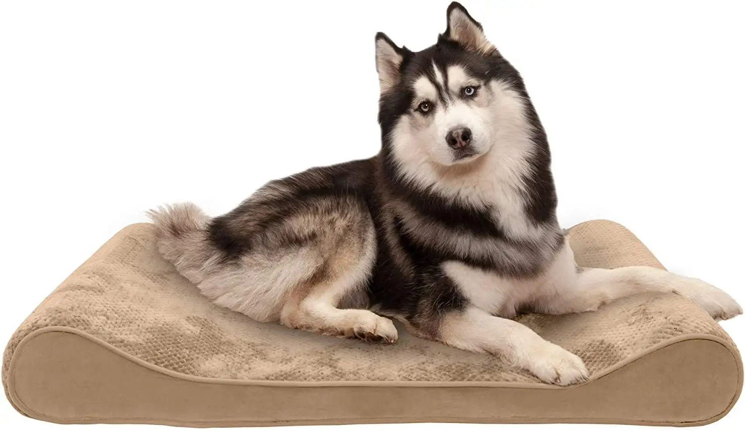 Orthopedisch Traagschuim Hondenbed Met Afneembare Wasbare Hoes Grote Dierenkennel Voor Comfort En Ondersteuning