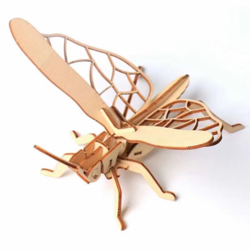 grasshopper