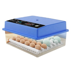 Con lăn khay trứng lồng ấp 16 huevos hoàn toàn tự động 12V & 220V cho gà vịt ngỗng chim cút trong bỉ thị trường - Product Image 1