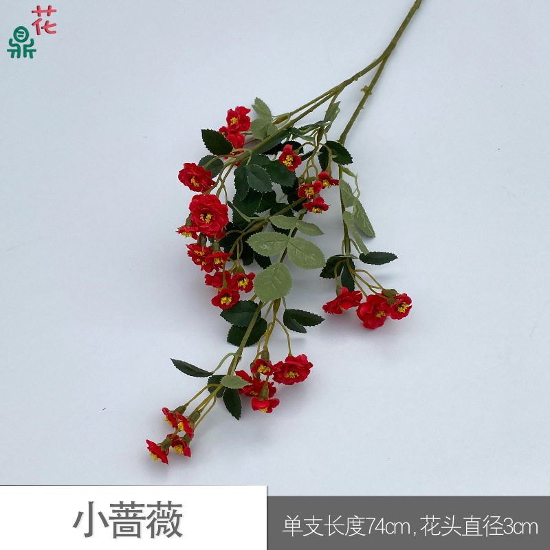 Little Rose SCN (Red)