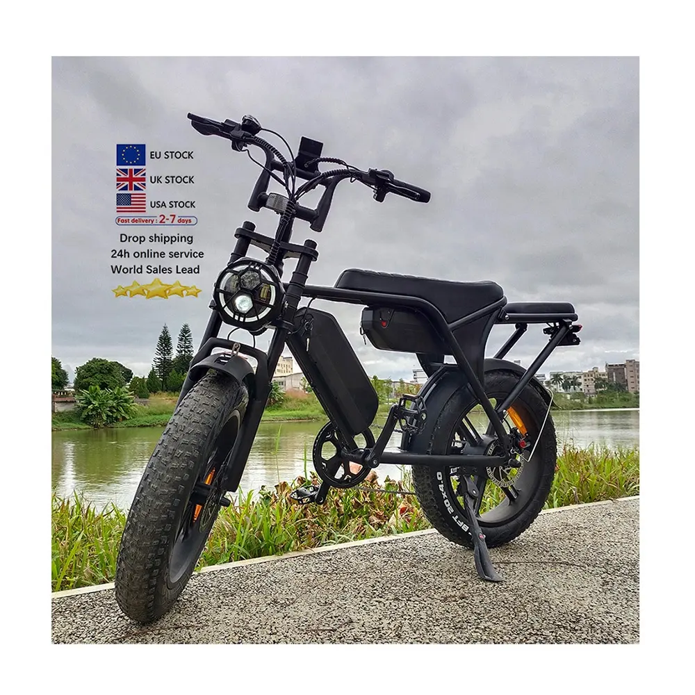 OUXI V8 MAX çift seate Ebike çiftli pil e bisiklet modeli arka Hub Motor Vintage elektrikli bisiklet elektrikli ab yağ lastik bisiklet