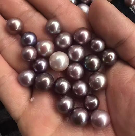 multi pearl mussel/ Edison Pearl 9-12mm
