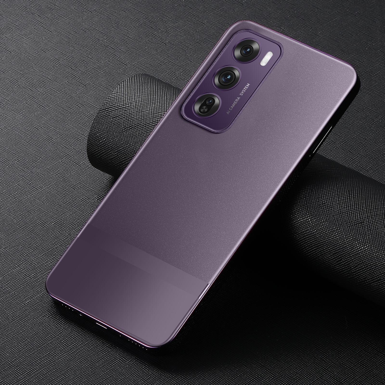 Viola