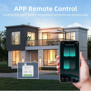 El módulo Tuya Zigbee 4Gang admite interruptor de circuito de relé de voz de control remoto de 2 canales (10A) - Product Image 6