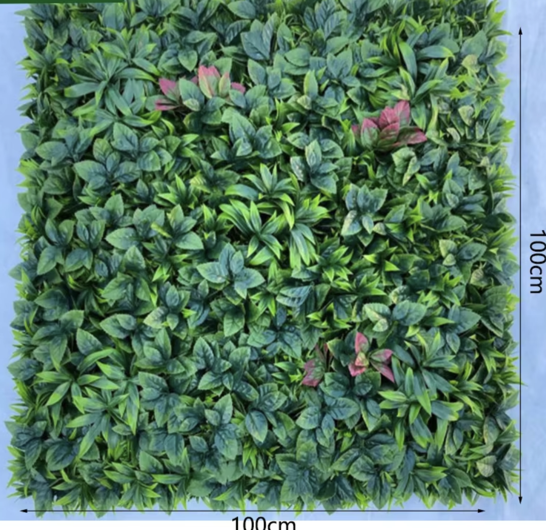 Brote de anturio de batata verde 1*1 m (resistente a los rayos UV)