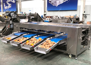 Automatic Fruit and Vegetable Size <strong>Sorting</strong> Grading <strong>Machine</strong> Potato <strong>Sorting</strong> <strong>Machine</strong> Fruit Dates <strong>Sorting</strong> <strong>Machine</strong> - Product Image 5