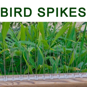 3M 50cm 60spikes ไล่นกพิราบควบคุมนกแหลม - Product Image 5