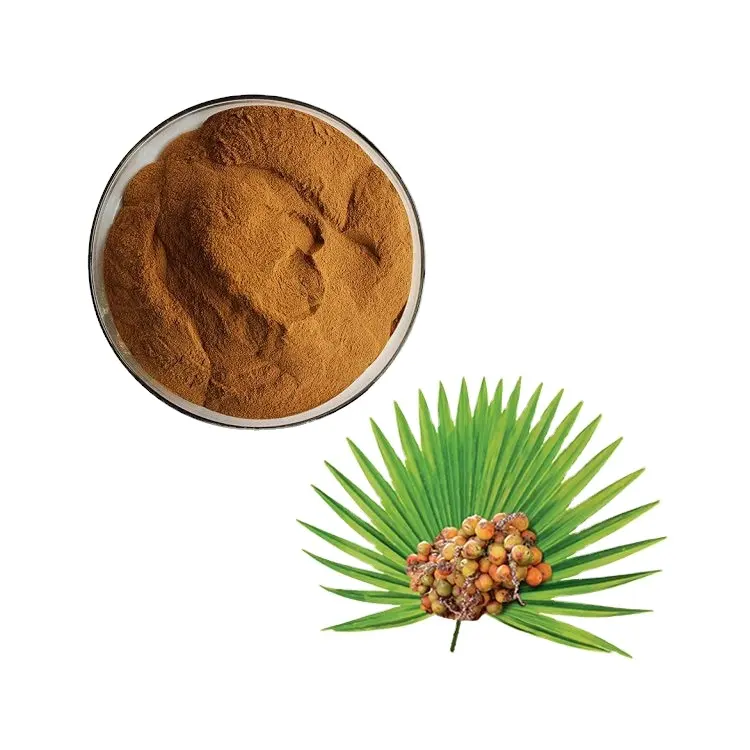 Werkslieferung natürliches Saw Palmetto-Samen-Extrakt