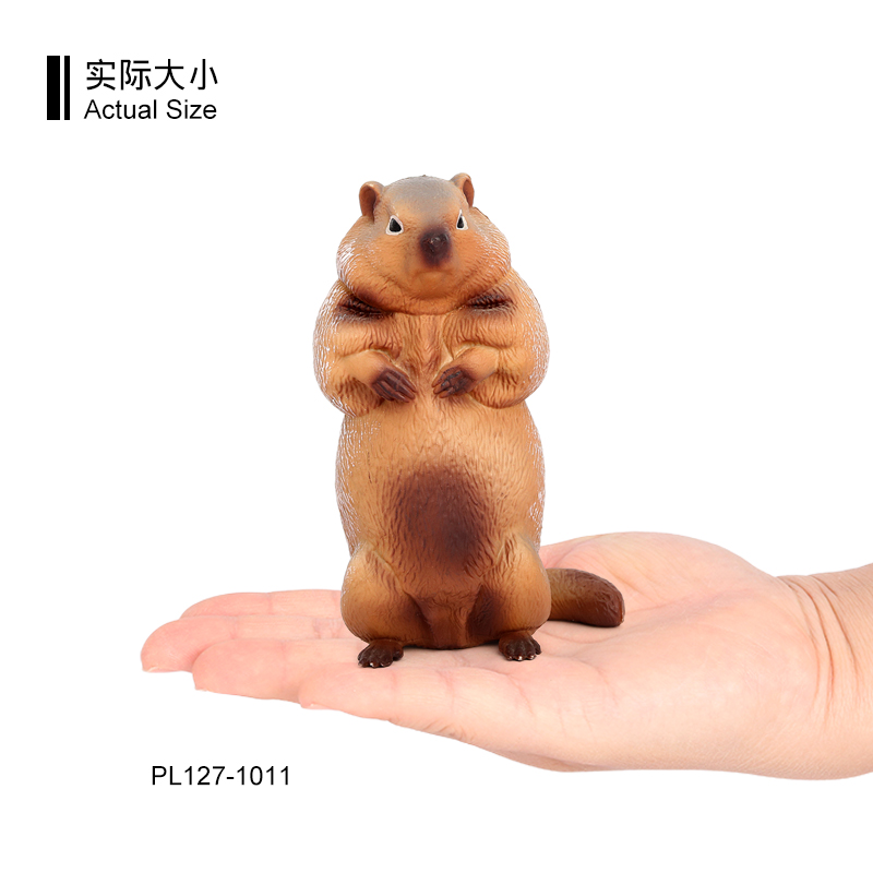 1011 marmota marrón