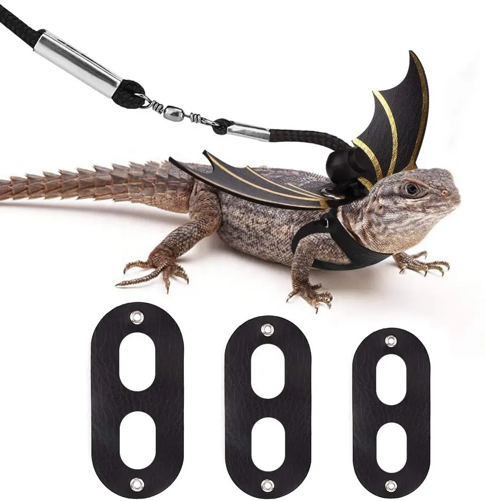 छिपकली सरीसृप पट्टा पंख सेट एस/एम/एल समायोज्य बल्ले विंग आकार दोहन कॉस्टयूम किट छिपकली दाढ़ी वाले ड्रैगन iguanas साँप