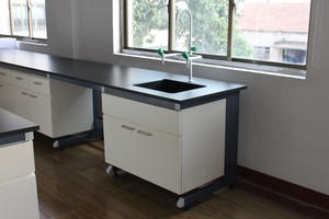 Sıcak satış laboratuvar tezgahı iş istasyonu ve laboratuvar tezgahı fiyat düşük maliyetli laboratuvar iş istasyonu inşa etmek - Product Image 2