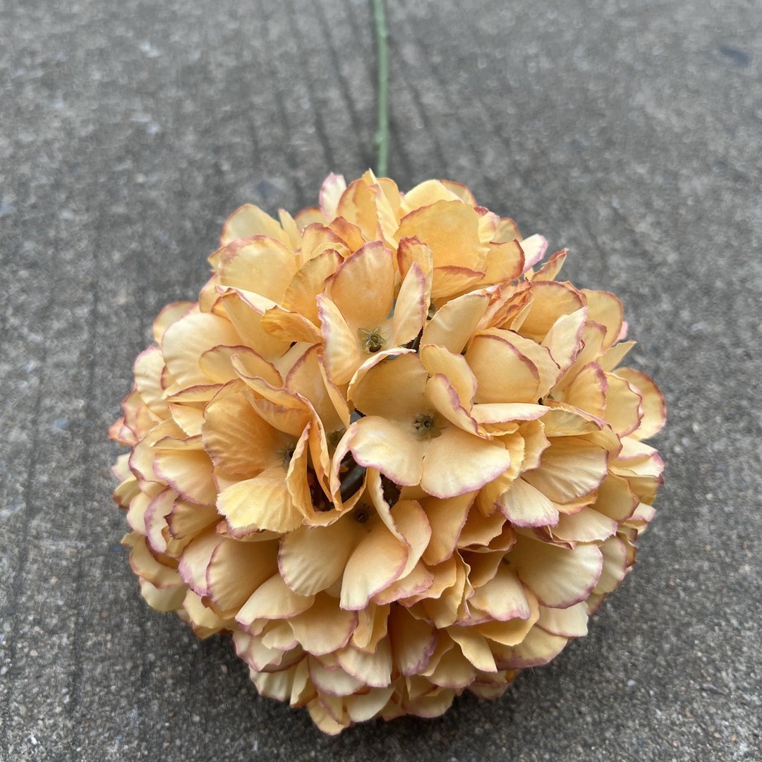 Peinture à l'huile à tête unique, feuille d'hortensia, jaune d'automne