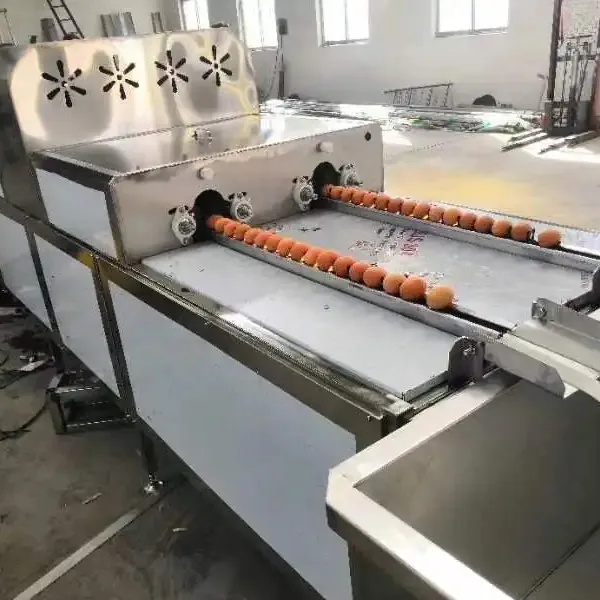 निर्माता आपूर्तिकर्ता अंडा बतख सफाई मशीन