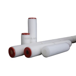TS <strong>Filter</strong> Manufacturer 10 Inch 0.2 Um 0.45 Um PES Micro Pleated <strong>Filter</strong> Cartridge Final Filtration for Food and Beverage Industry - Product Image 4