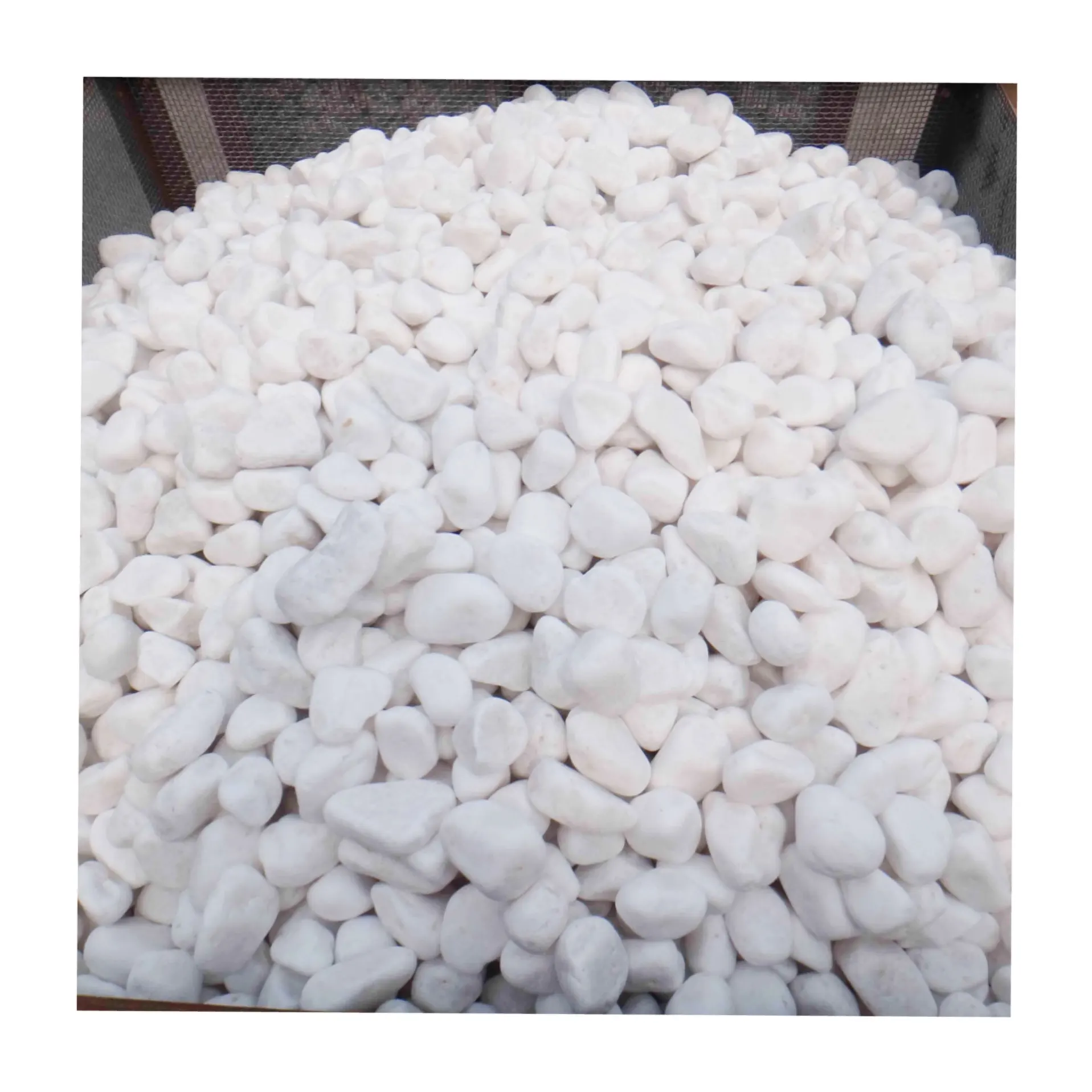 Hot sell snow white pebble nature white pebble