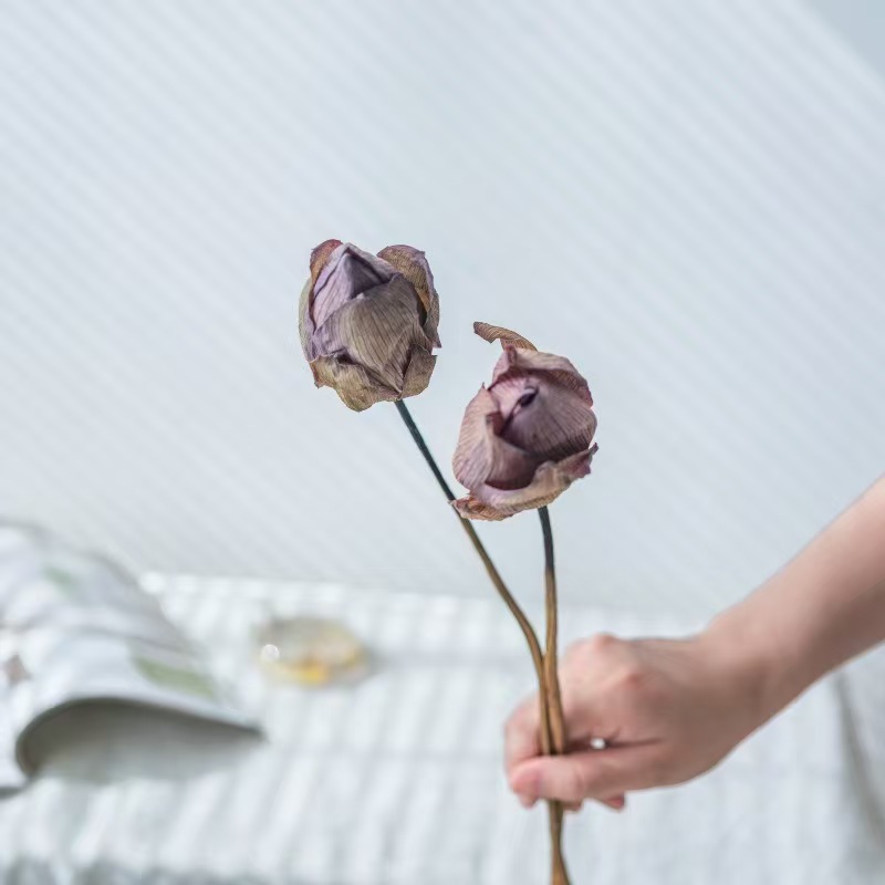 Natural-stem Lotus Bud