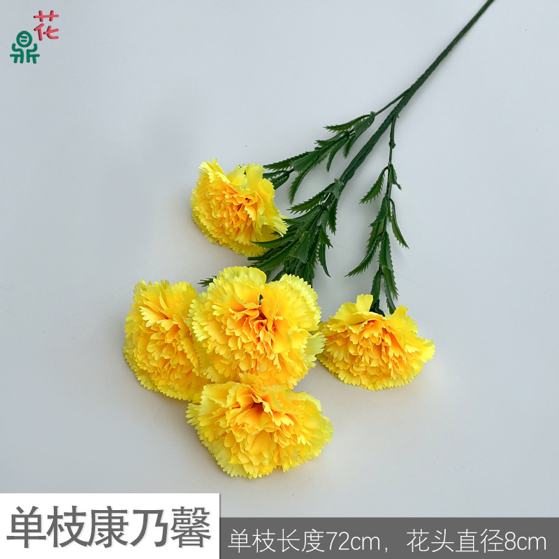 คาร์เนชั่นเดี่ยว XC สีเหลือง