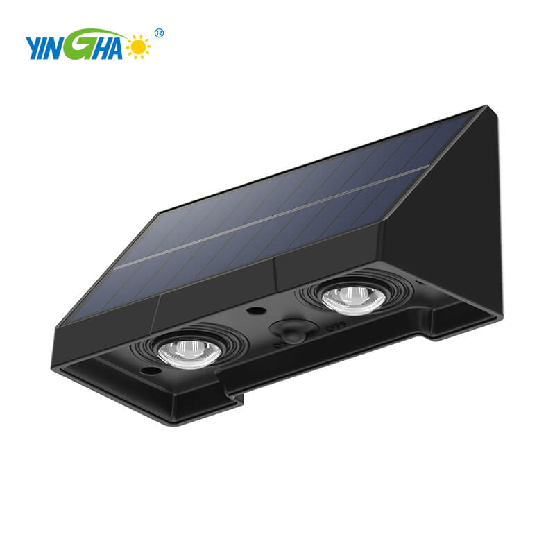 2 LEDS
