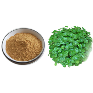 Phyto-Engineered Centella <strong>Asiatica</strong> Extract Powder CAS 16830-15-<strong>2</strong> for Advanced Barrier Repair Serums with Tripartite - Product Image 1