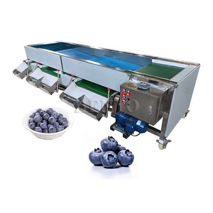 Máquina clasificadora de verduras de alta productividad para clasificación y clasificación de frutas de cacahuetes y arándanos - Product Image 2