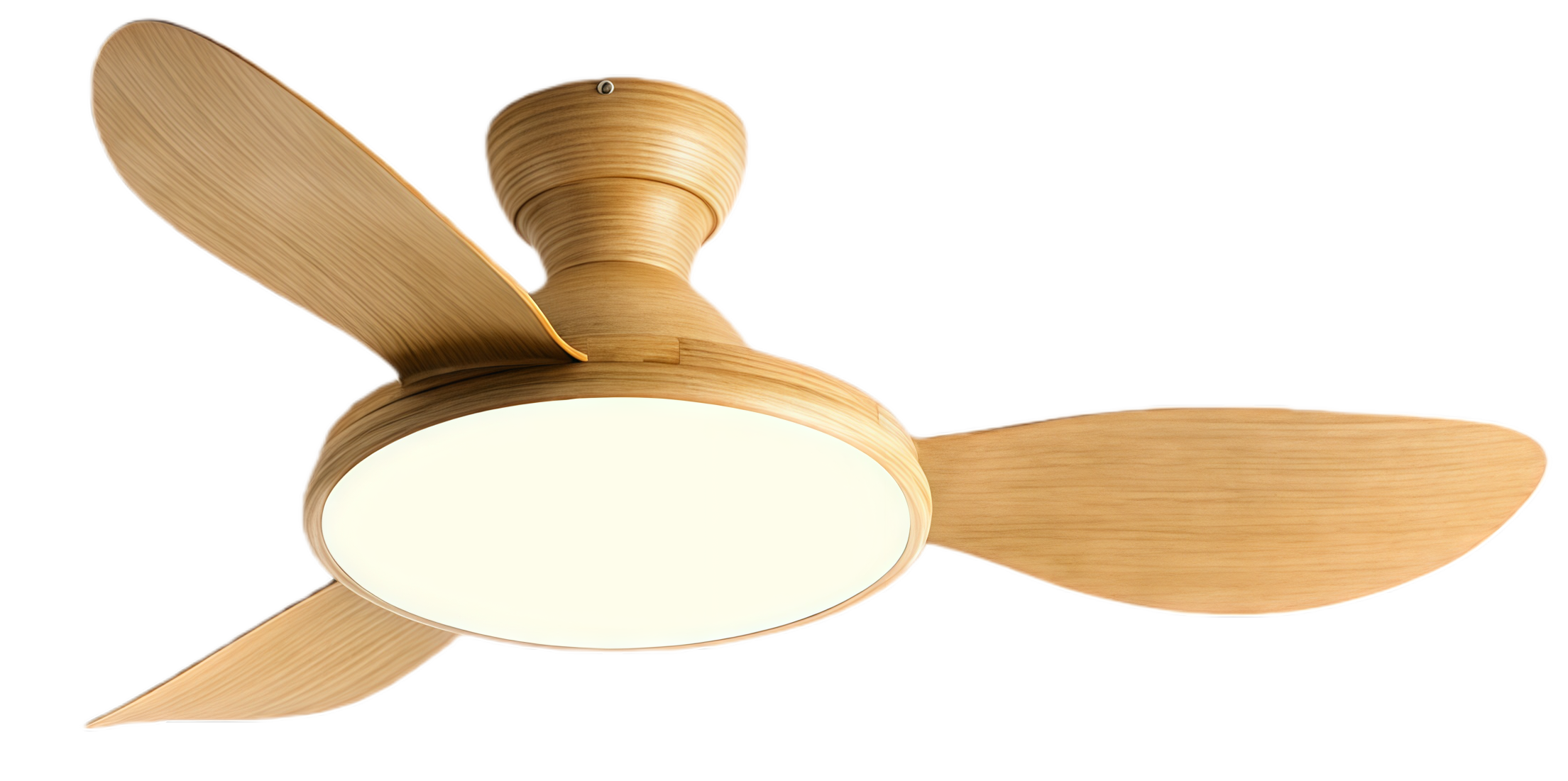 Grano de madera completo