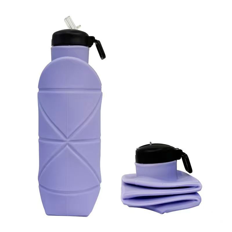 Lj1026-b violeta